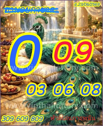 Thailand Lottery Result 3Up Set HTF Lucky Tips 01/07/2026