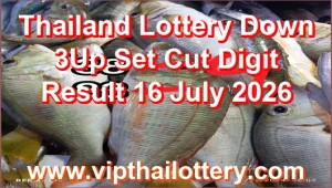 Thailand Lottery Down 3Up Set Cut Digit Result 16 July 2026