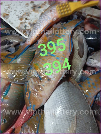 Thailand Lottery Down 3Up Set Cut Digit Result 16 July 2026