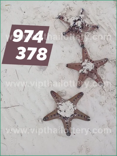 Thailand Lottery Down 3Up Set Cut Digit Result 16 July 2026