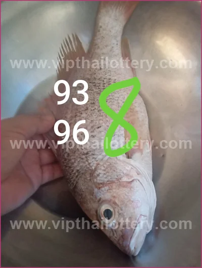 Thailand Lottery Down 3Up Set Cut Digit Result 16 July 2026