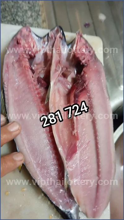 Thailand Lottery Down 3Up Set Cut Digit Result 16 July 2026
