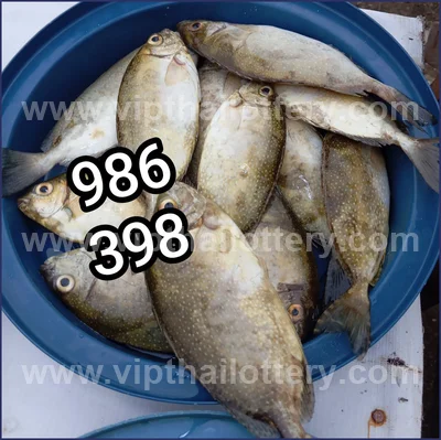 Thailand Lottery Down 3Up Set Cut Digit Result 16 July 2026
