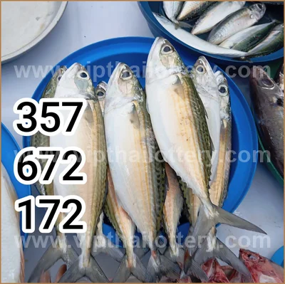 Thailand Lottery Down 3Up Set Cut Digit Result 16 July 2026