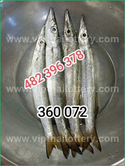 Thailand Lottery Down 3Up Set Cut Digit Result 16 July 2026