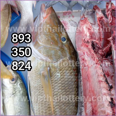Thailand Lottery Down 3Up Set Cut Digit Result 16 July 2026
