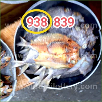 Thailand Lottery Down Game Winning Direct Touch 16/07/2026