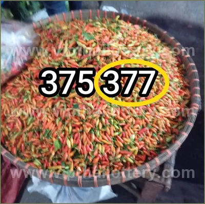 Thailand Lottery Down Game Winning Direct Touch 16/07/2026