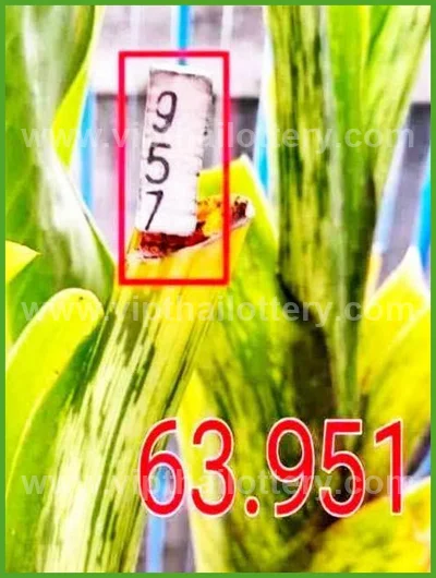Thailand Lottery Formula Tips Winning Touch Lucky 16/7/2026