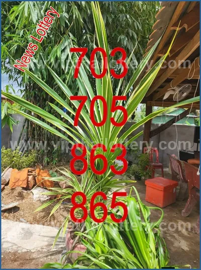 Thailand Lottery Formula Tips Winning Touch Lucky 16/7/2026