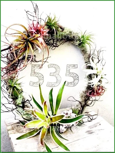 Thai Lottery Tips Numbers Set Direct Touch 16th July 2026