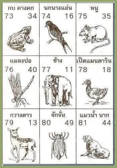 Thai Lotto 3d Tips Direct Lucky Game Numbers 3Up 16.07.2026