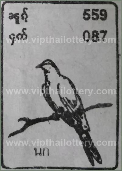 Thai Lotto 3d Tips Direct Lucky Game Numbers 3Up 16.07.2026