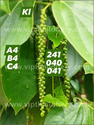 Thailand Lottery Final Game HTF Lucky Master 1st August 2026