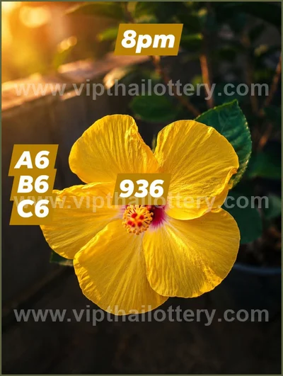 Thailand Lottery Final Game HTF Lucky Master 1st August 2026