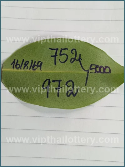 Thailand Lottery Down Direct Formula Lucky 3Up 1st Sep 2026