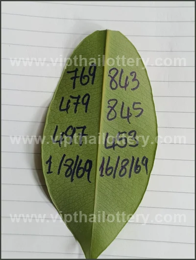 Thailand Lottery Down Lucky Formula Master Result 1-09-2026